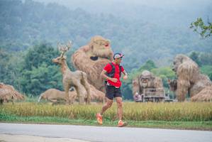 BIB: 
                            <button type="button" onclick="openModal(22305420)" class="btn btn-primary btn-sm float-right btn-popup" data-toggle="modal" data-target=".modal-high-quality">
                        <i class="fas fa-shopping-cart"></i> Add to Cart
                    </button>
                                            <button type="button" onclick="isThisMe(22305420, true)" class="btn btn-success btn-sm float-right btn-popup btn-isme hidden" data-toggle="tooltip" data-placement="bottom" title="นี่คือรูปของคุณใช่ไหม คลิกที่นี่เพื่อเอาเข้าอัลบั้ม">
                        <i class="fas fa-plus"></i> Add to album
                    </button>
                    <button type="button" onclick="isThisMe(22305420, false)" class="btn btn-warning btn-sm float-right btn-popup btn-isnotme hidden">
                        <i class="fas fa-ban"></i> Remove from album
                    </button>